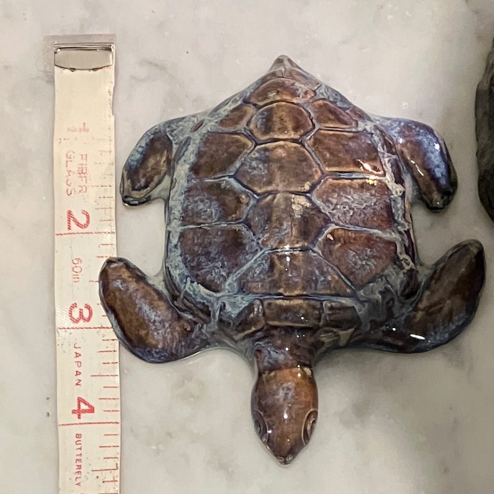 Sea Turtle - Picture 10 of 11